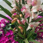 ヒメ日記 2025/06/21 19:55 投稿 らいあ 待ちナビ