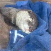 ヒメ日記 2025/08/29 21:35 投稿 らいあ 待ちナビ