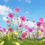 ヒメ日記 2025/09/20 09:06 投稿 らいあ 待ちナビ