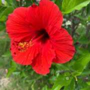 ヒメ日記 2025/09/27 09:14 投稿 らいあ 待ちナビ