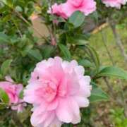 ヒメ日記 2025/10/01 10:25 投稿 らいあ 待ちナビ