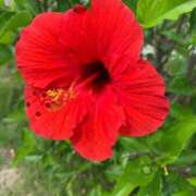 ヒメ日記 2025/10/03 13:05 投稿 らいあ 待ちナビ