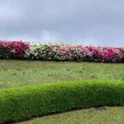 ヒメ日記 2025/10/09 14:25 投稿 らいあ 待ちナビ