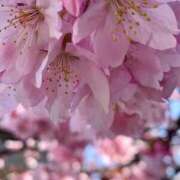 らいあ ❤️キャーー❣️🌸 待ちナビ