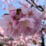 ヒメ日記 2026/03/12 11:51 投稿 らいあ 待ちナビ