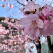 ヒメ日記 2026/03/26 08:16 投稿 らいあ 待ちナビ