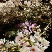 ヒメ日記 2026/03/29 15:13 投稿 らいあ 待ちナビ