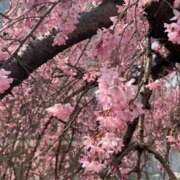 ヒメ日記 2026/03/28 21:09 投稿 泉 ロイヤルヴィトン(宇都宮)