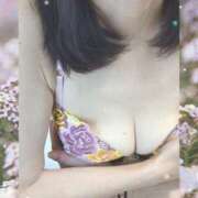 ヒメ日記 2026/09/15 13:17 投稿 天野和泉(あまのいずみ) 姫路マダム大奥