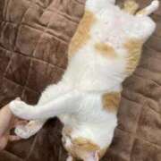 ヒメ日記 2025/09/04 14:44 投稿 弥生-やよい MSC 妄想紳士倶楽部 鶯谷店