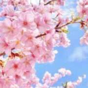 ヒメ日記 2025/04/10 18:03 投稿 ちひろ 人妻小旅行