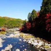 ヒメ日記 2025/10/05 17:07 投稿 ちひろ 人妻小旅行