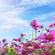 ヒメ日記 2025/10/10 15:47 投稿 ちひろ 人妻小旅行