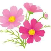 ヒメ日記 2025/10/30 17:47 投稿 ちひろ 人妻小旅行