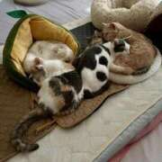 ヒメ日記 2025/11/20 18:17 投稿 ちひろ 人妻小旅行