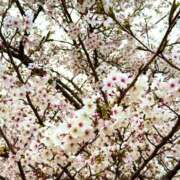 れいか ♡ アラモード