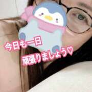 ヒメ日記 2025/03/12 09:04 投稿 乃上【のがみ】 丸妻 西船橋店