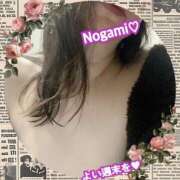 ヒメ日記 2025/04/05 11:43 投稿 乃上【のがみ】 丸妻 西船橋店