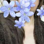 ヒメ日記 2025/12/30 00:49 投稿 乃上【のがみ】 丸妻 西船橋店