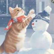 ヒメ日記 2025/01/16 12:00 投稿 深田美咲(ふかだみさき) 五十路マダムエクスプレス厚木店(カサブランカグループ)