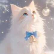 ヒメ日記 2025/01/20 12:18 投稿 深田美咲(ふかだみさき) 五十路マダムエクスプレス厚木店(カサブランカグループ)