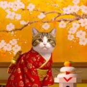 ヒメ日記 2025/01/26 12:50 投稿 深田美咲(ふかだみさき) 五十路マダムエクスプレス厚木店(カサブランカグループ)