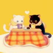 ヒメ日記 2025/01/31 16:10 投稿 深田美咲(ふかだみさき) 五十路マダムエクスプレス厚木店(カサブランカグループ)