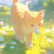 ヒメ日記 2025/02/24 10:02 投稿 深田美咲(ふかだみさき) 五十路マダムエクスプレス厚木店(カサブランカグループ)