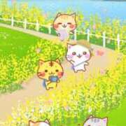 ヒメ日記 2025/03/05 16:40 投稿 深田美咲(ふかだみさき) 五十路マダムエクスプレス厚木店(カサブランカグループ)