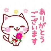 ヒメ日記 2025/03/10 18:38 投稿 深田美咲(ふかだみさき) 五十路マダムエクスプレス厚木店(カサブランカグループ)