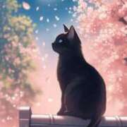 ヒメ日記 2025/04/22 16:52 投稿 深田美咲(ふかだみさき) 五十路マダムエクスプレス厚木店(カサブランカグループ)