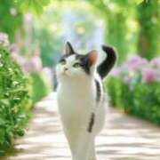 ヒメ日記 2025/05/08 13:28 投稿 深田美咲(ふかだみさき) 五十路マダムエクスプレス厚木店(カサブランカグループ)