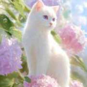 ヒメ日記 2025/06/04 11:10 投稿 深田美咲(ふかだみさき) 五十路マダムエクスプレス厚木店(カサブランカグループ)