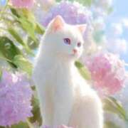 ヒメ日記 2025/06/07 12:58 投稿 深田美咲(ふかだみさき) 五十路マダムエクスプレス厚木店(カサブランカグループ)