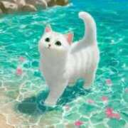 ヒメ日記 2025/08/10 14:54 投稿 深田美咲(ふかだみさき) 五十路マダムエクスプレス厚木店(カサブランカグループ)