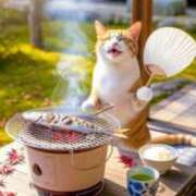 ヒメ日記 2025/09/03 11:08 投稿 深田美咲(ふかだみさき) 五十路マダムエクスプレス厚木店(カサブランカグループ)