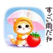 ヒメ日記 2025/09/05 13:00 投稿 深田美咲(ふかだみさき) 五十路マダムエクスプレス厚木店(カサブランカグループ)