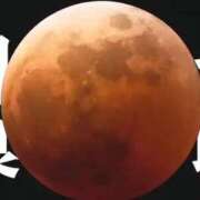 ヒメ日記 2025/09/08 04:46 投稿 深田美咲(ふかだみさき) 五十路マダムエクスプレス厚木店(カサブランカグループ)