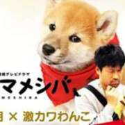 ヒメ日記 2025/09/12 17:54 投稿 深田美咲(ふかだみさき) 五十路マダムエクスプレス厚木店(カサブランカグループ)