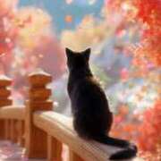 ヒメ日記 2025/10/03 11:48 投稿 深田美咲(ふかだみさき) 五十路マダムエクスプレス厚木店(カサブランカグループ)