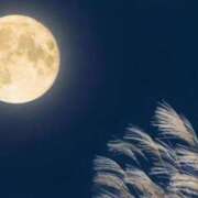 ヒメ日記 2025/10/06 12:08 投稿 深田美咲(ふかだみさき) 五十路マダムエクスプレス厚木店(カサブランカグループ)