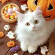 ヒメ日記 2025/10/11 11:34 投稿 深田美咲(ふかだみさき) 五十路マダムエクスプレス厚木店(カサブランカグループ)