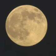 ヒメ日記 2025/11/06 11:24 投稿 深田美咲(ふかだみさき) 五十路マダムエクスプレス厚木店(カサブランカグループ)