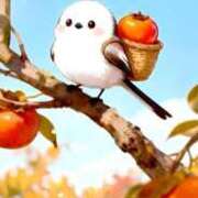 ヒメ日記 2025/11/10 12:16 投稿 深田美咲(ふかだみさき) 五十路マダムエクスプレス厚木店(カサブランカグループ)