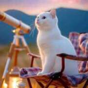 ヒメ日記 2025/11/14 10:02 投稿 深田美咲(ふかだみさき) 五十路マダムエクスプレス厚木店(カサブランカグループ)