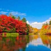 ヒメ日記 2025/11/22 12:44 投稿 深田美咲(ふかだみさき) 五十路マダムエクスプレス厚木店(カサブランカグループ)