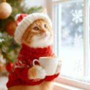 ヒメ日記 2025/12/10 08:38 投稿 深田美咲(ふかだみさき) 五十路マダムエクスプレス厚木店(カサブランカグループ)