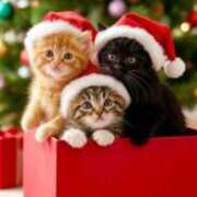 深田美咲(ふかだみさき) 本日も１２時 から出勤させて頂ます (^人^) 五十路マダムエクスプレス厚木店(カサブランカグループ)