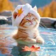 ヒメ日記 2025/12/30 08:26 投稿 深田美咲(ふかだみさき) 五十路マダムエクスプレス厚木店(カサブランカグループ)