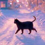 ヒメ日記 2026/02/09 12:22 投稿 深田美咲(ふかだみさき) 五十路マダムエクスプレス厚木店(カサブランカグループ)